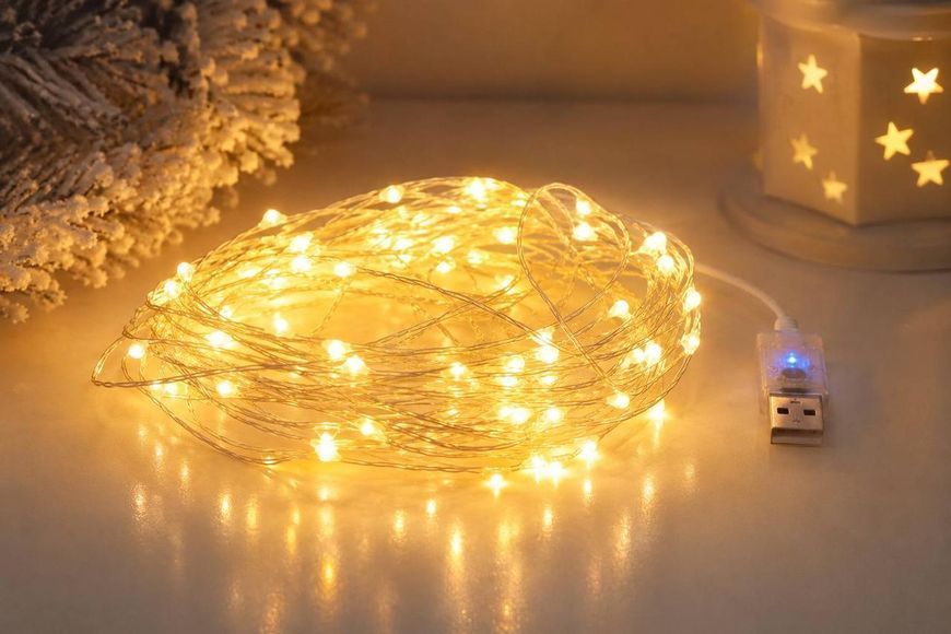 Гірлянда Роса 10 м USB, 100 LED, тепло білий R10USB-Y фото